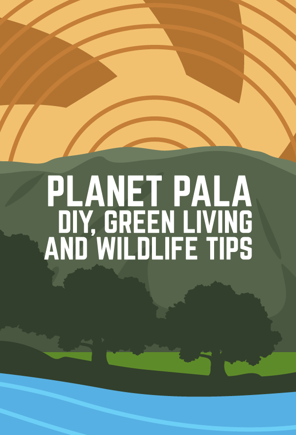 Pala Band California Environmental Department PED Planet Pala Logo