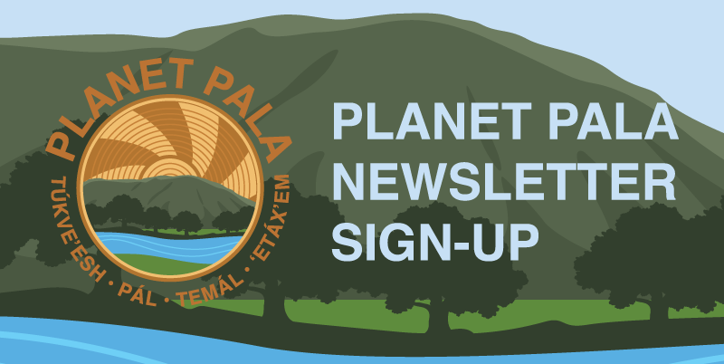 Pala Environmental Department PED Planet Pala Band of Mission Indians Logo Links Page Conferences Events Newsletter Social Media