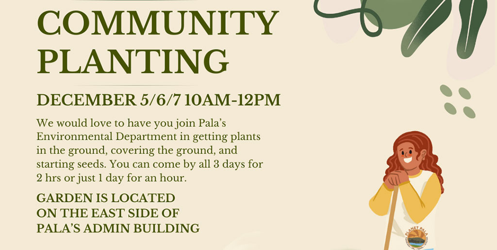 Pala Band Pala Environmental Department PED Planet Pala Community Planting