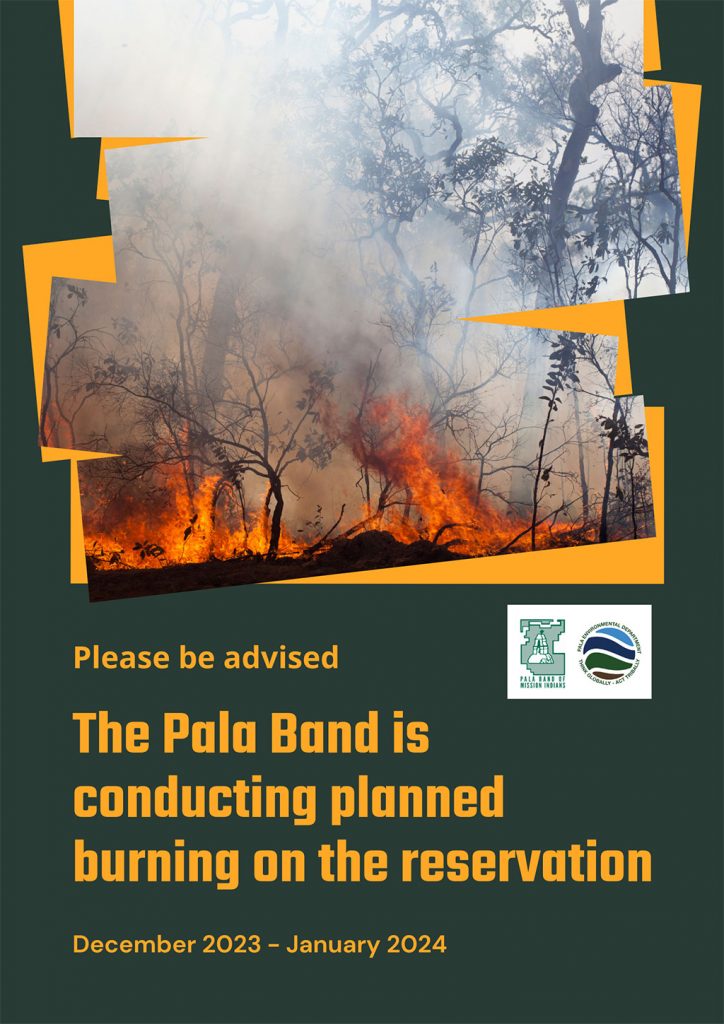 Pala Environmental Department PED Planet Pala Band of Mission Indians Logo Links Page Conferences Events Newsletter Prescribed Burns in Pala