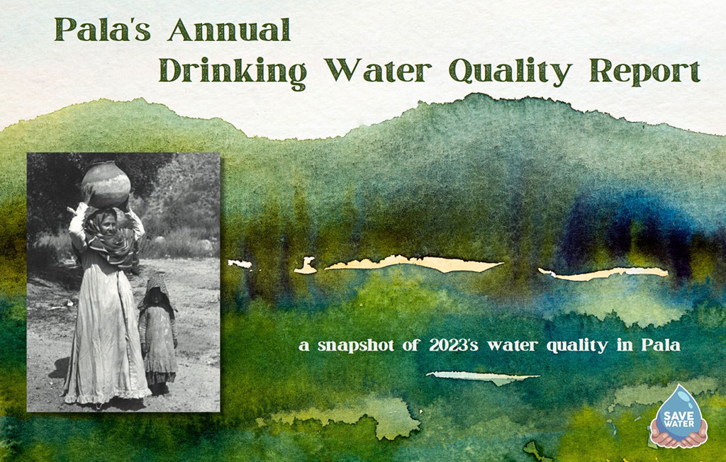 Pala Environmental Department PED Planet Pala Band of Mission Indians Logo Newsletter In The News 2023 Pala Annual Drinking Water Quality Report