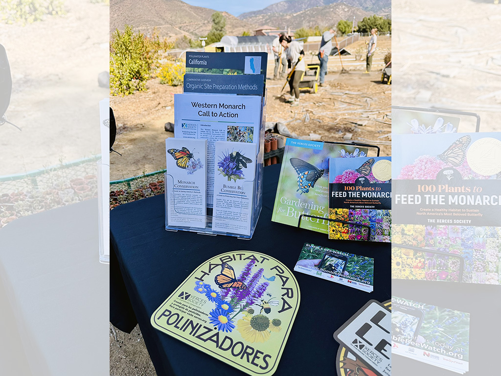 Pala Environmental Department PED Planet Pala Band of Mission Indians Logo Newsletter What's Growing On Xerces Society Pilot Program