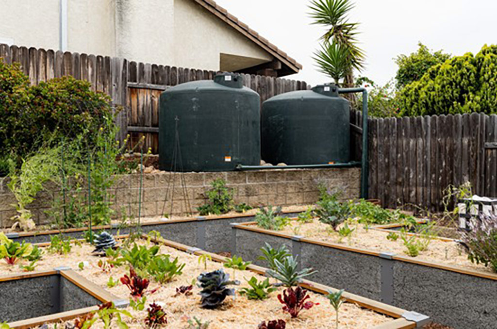 Pala Environmental Department PED Planet Pala Band of Mission Indians Logo Newsletter Discover This Rain Water Collection Garden