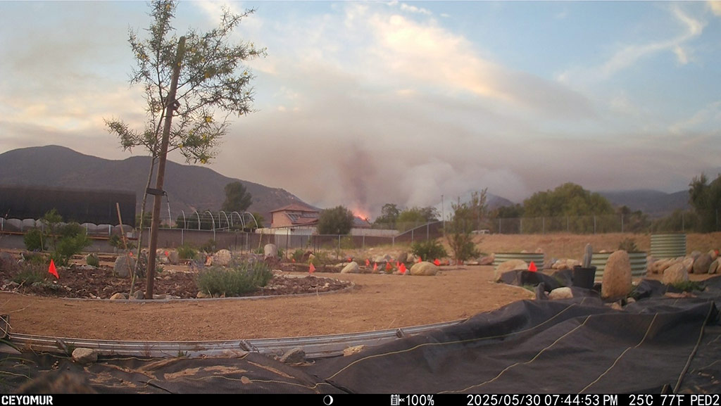 Pala Environmental Department PED Planet Pala Band of Mission Indians Logo Newsletter News Henderson Fire 2025