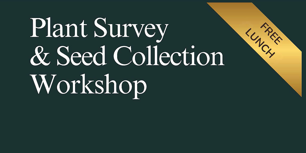 Pala Environmental Department PED Planet Pala Band of Mission Indians Pala People's Garden Plant Survey Seed Collection Workshop