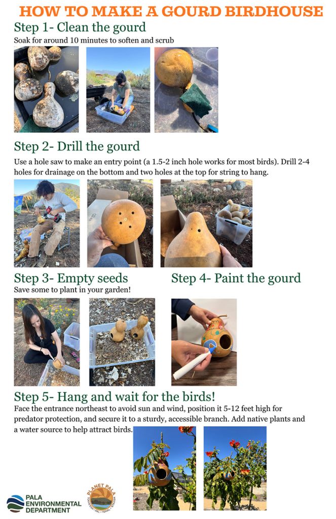 Pala Environmental Department PED Planet Pala Band of Mission Indians Logo Newsletter News Indigenous Peoples Day California Bird Gourdhouse 2025