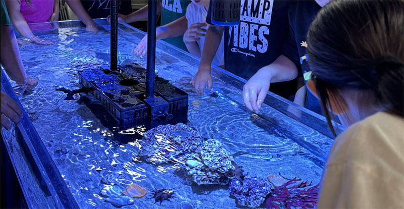 Pala Environmental Department PED Planet Pala Band of Mission Indians Logo Newsletter News Traveling Tide Pools Vivian Banks School