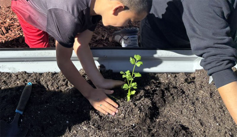 Pala Environmental Department PED Planet Pala Band of Mission Indians Logo Newsletter News Youth Garden Planting