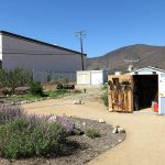 Pala Band of Mission Indians California Pala Atáxam Pemtew’naan’a Pala People’s Garden